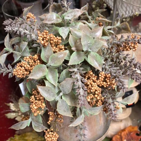 Accents Pumpkin Spice Colored Herb Garden Floral Half Sphere Poshmark